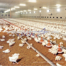 High quality automatic poultry farm control shed